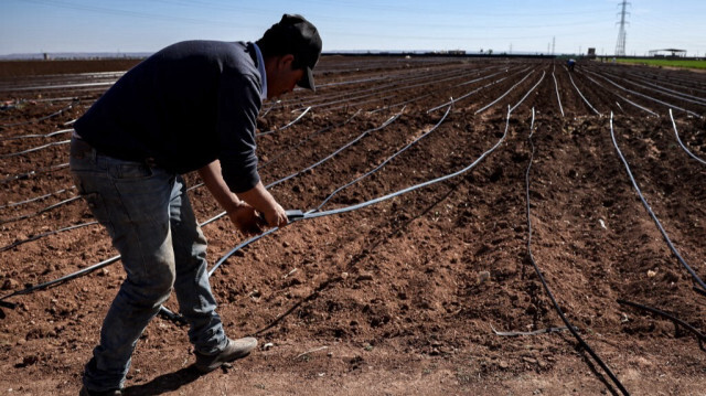 Un agriculteur installe un système de goutte-à-goutte dans un champ de pommes de terre à Berrechid, province marocaine historiquement riche en blé située à quelque 40 kilomètres au sud-est de Casablanca, le 7 février 2024, alors que la sécheresse sévit depuis six années consécutives.