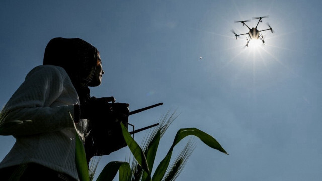 Himanshi, une pilote à distance certifiée formée dans le cadre du programme gouvernemental "Drone Sister", pilotant un drone pour pulvériser de l'engrais liquide sur une ferme à Pataudi,  le 29 février 2024.
