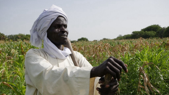 Mal Kalo, agriculteur, pose sur l'île de Midikouta, sur le lac Tchad, le 22 juillet 2017, où il est retourné deux ans après avoir fui une attaque de Boko Haram. 