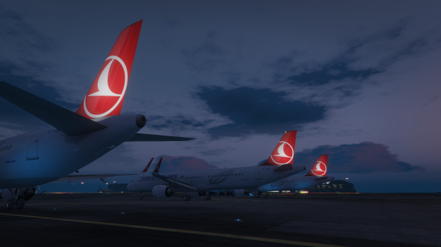 Türk Hava Yolları uçakları geri döndü.