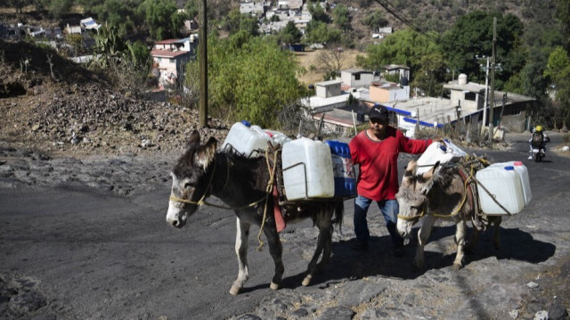 Isidro Maximino Favela marche avec ses ânes transportant des conteneurs remplis d'eau potable jusqu'à sa maison à Santa Cruz Acalpixca, dans la municipalité de Xochimlico, à Mexico, le 11 mars 2024. 