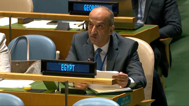 مصر: فلسطين مؤهلة بكل المعايير للانضمام إلى الأمم المتحدة