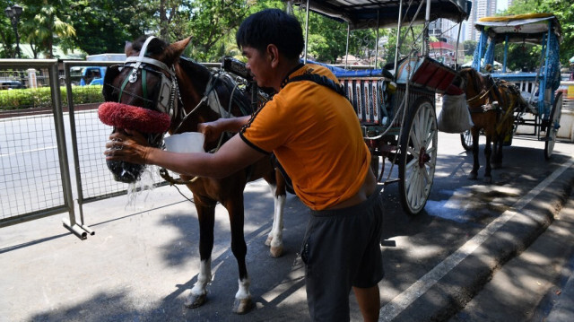 Un cocher verse de l'eau sur son cheval alors qu'ils se réfugient sous un arbre le long d'une route à Manille le 24 avril 2024, à cause de la chaleur extrême qui affecte le pays.