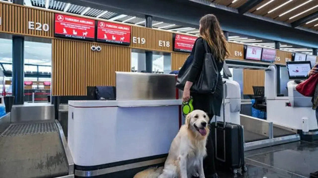 THY İstanbul Havalimanı'nda "Pet Lounge" kuracak