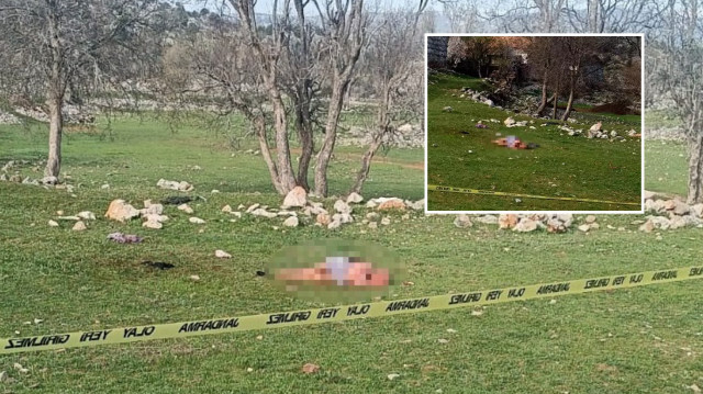 Çoban köpeklerinin saldırısına uğrayan kadın olay yerinde hayatını kaybetti.