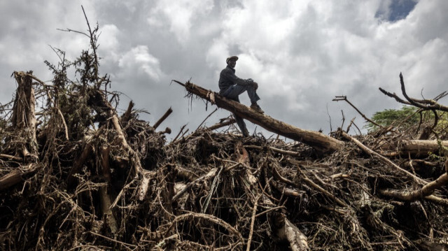 Un homme se tient au sommet d'un tronc d'arbre dans une zone remplie d'arbres endommagés, de boue et de débris transportés par l'eau à la suite d'inondations soudaines et de glissements de terrain à Mai Mahiu, le 30 avril 2024. 