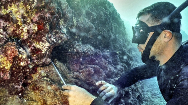 Ce blanchissement massif recensé dans 62 pays et territoires s'étend et s'aggrave, selon les scientifiques. Face à ce fléau, la Thaïlande a récemment interdit aux plongeurs 12 parcs nationaux marins de façon temporaire.