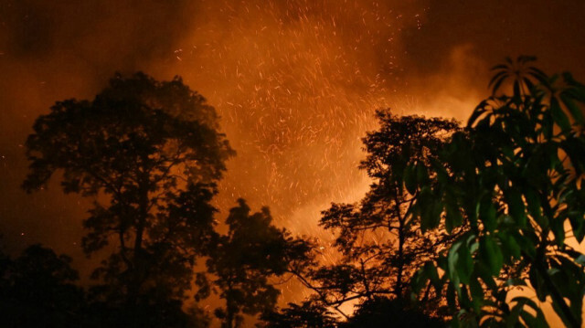 Un incendie de forêt près du village de Lubhu dans le district de Lalitpur, en périphérie de Katmandou, dans la nuit du 1er mai 2024.