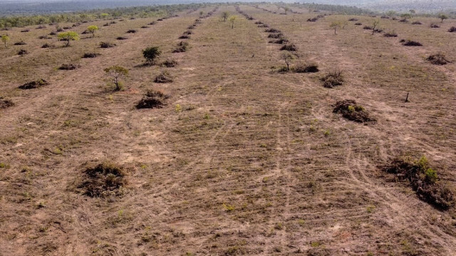 Vue aérienne de la déforestation du Cerrado, dans l'État de Bahia à l'ouest du Brésil, prise le 25 septembre 2023. La déforestation de cette savane est pour la première fois supérieure à celle de l'Amazonie.