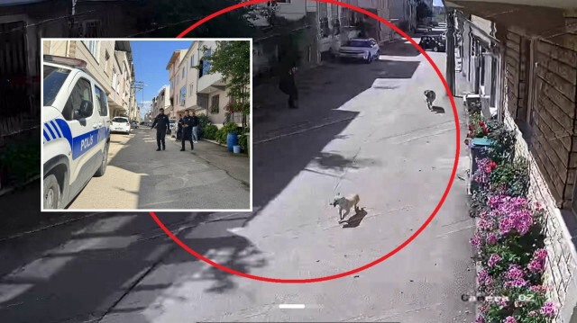 Bursa'da köpek saldırısına uğrayan 3 çocuktan 2'si yaralandı