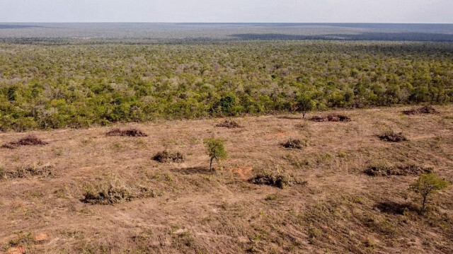 Déforestation du Cerrado natif à Sao Desiderio, dans l'État de Bahia, à l'ouest du Brésil, prise le 25 septembre 2023. 