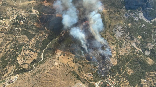 Orman yangını havadan böyle görüntülendi.