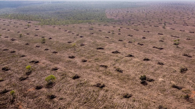 Déforestation du Cerrado, dans l'État de Bahia occidental, au Brésil.