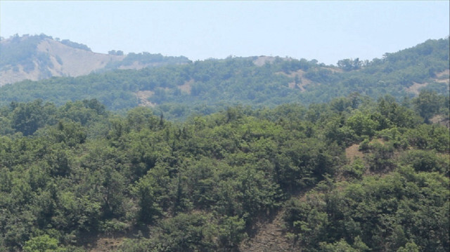 Bingöl'de ormanlık alanlara girişler 15 Ekim'e kadar yasaklandı.