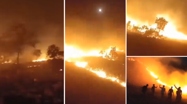 Mardin'de çıkan orman yangınını söndürme çalışmalarına vatandaşlar da destek veriyor.