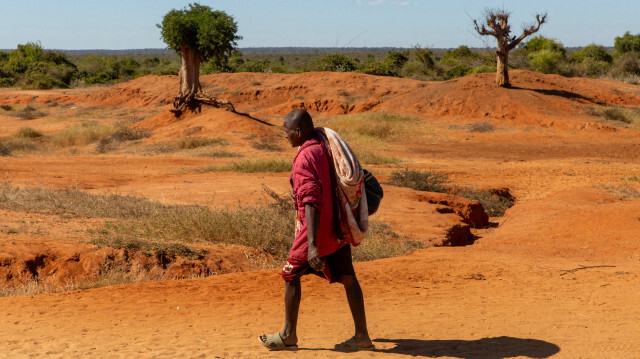 Cette photo de l'UNICEF prise le 16 juillet 2023 montre des arbres dont les racines sont exposées en raison de l'érosion de la couche arable près du petit village de Sevalava, dans le sud-ouest de Madagascar. Des années consécutives de sécheresse sévère ont anéanti les récoltes et entravé l'accès à la nourriture dans les régions de l'extrême sud de Madagascar.