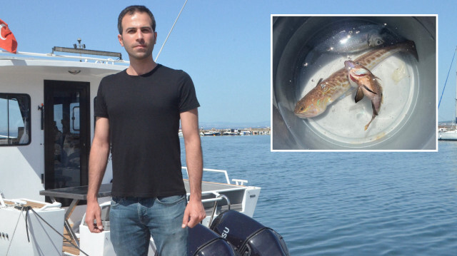 Yalova'da amatör balıkçılık yapan Burak Ulusoy, oltasına takılan zehirli trakonya balığına temas ettiği için hastanede tedavi edildi. 