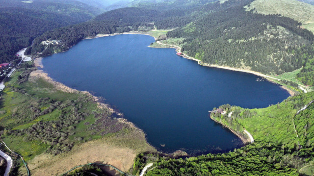 Bolu'da, ormanlara giriş ile milli park ve tabiat parklarında mangal yakmak 1 Temmuz'dan itibaren yasak.