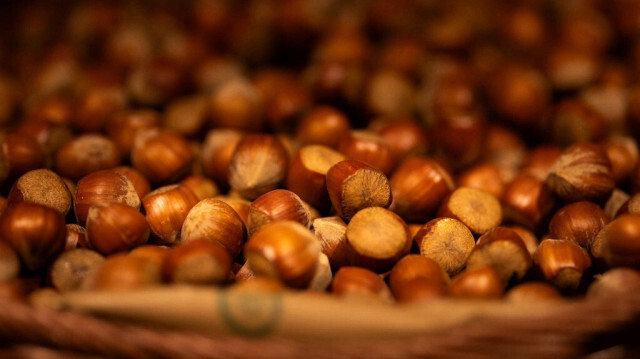 La Türkiye a exporté pour plus de 1,8 milliard de dollars en noisette durant la saison 2023-2024.