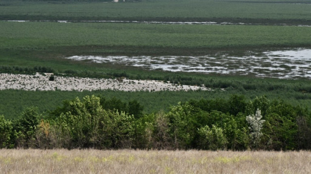 Rive du réservoir de Kakhovka près du village de Novovorontsovka, dans la région de Kherson, le 3 juin 2024, après le retrait des eaux du barrage de Kakhovka détruit, en pleine invasion russe de l'Ukraine. 