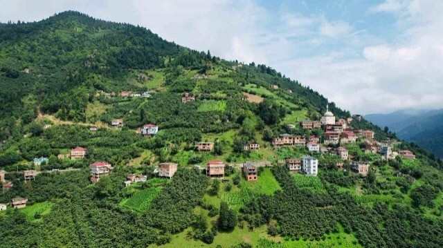 La région de Trabzon, dans les Alpes pontiques, dans l'est de la Türkiye.