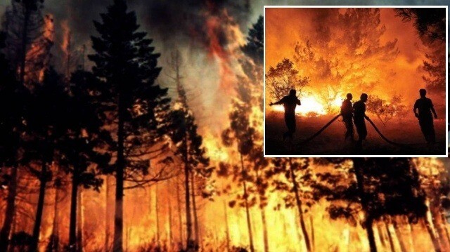  331 bin hektar alanda 107 yangınla mücadele sürüyor