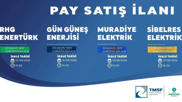 TMSF enerji şirketlerini ihaleye çıkardı.