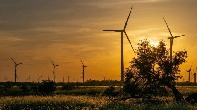 Des éoliennes dans un champ au lever du soleil le 28 juin 2024 à Nolan, Texas. 