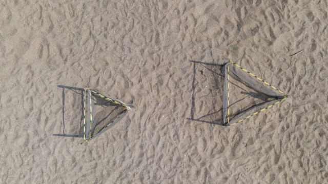 Zone de protection des tortues où elles pondent leurs œufs sur la côte de Manavgat à Antalya, le 14 juillet 2024. 