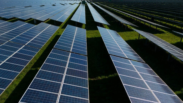 Panneaux solaires photovoltaïques constituant la ferme solaire de Manston, dans le sud-est de l'Angleterre, le 18 mars 2024.  