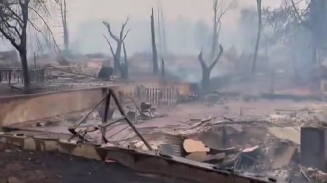 Scène de désolation après le passage de l'incendie dans la région de Jasper, au Canada, le 25 juillet 2024.