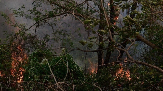 Une photo montre un incendie de forêt dans le Pantanal, à Corumbá, dans l'État de Mato Grosso do Sul, Brésil, le 28 juin 2024.