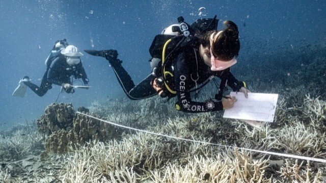 Sandra Rubio (à droite), enseignante en conservation chez Black Turtle Dive, et Nannalin "Fleur" Pornprasertsom (à gauche), sa jeune élève de 14 ans en conservation et sciences citoyennes, observant des coraux blanchis autour de l'île de Koh Tao, dans la province méridionale thaïlandaise de Surat Thani. 