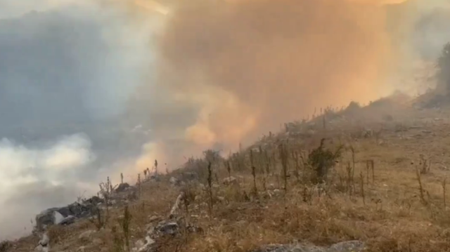 Incendies à Dropull, au sud de l'Albanie.