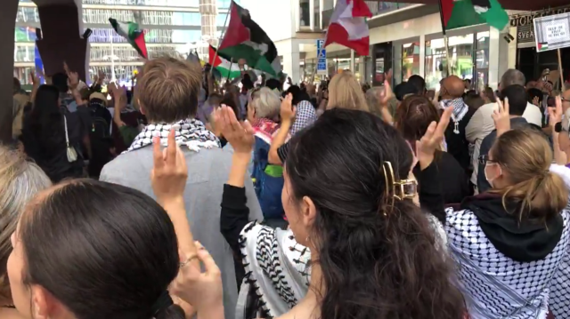 Manifestation à Stockholm pour dénoncer le sort des habitants de Gaza, le 10 aout 2024.