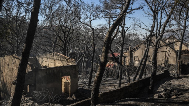 Maisons brûlées après un incendie de forêt ayant ravagé les banlieues nord-est d'Athènes, à Penteli, le 13 août 2024.