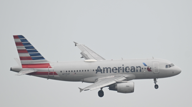 Due to regional tensions, American Airlines cancels all flights to Israel until April 2025