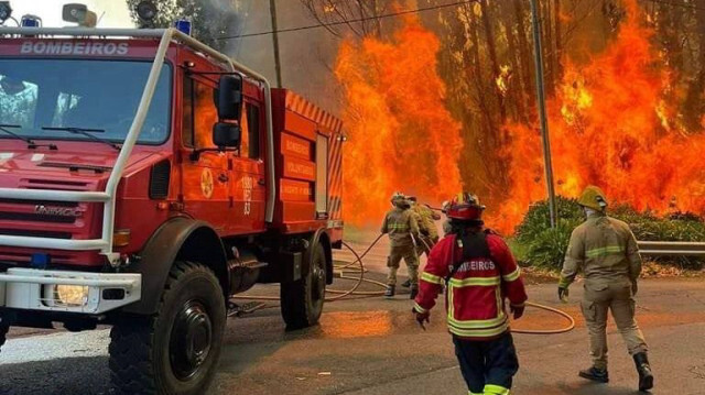 Les pompiers de Madère mobilisés pour éteindre un incendie qui a déjà ravagé 4400 hectares de forêt, au 21 août 2024.