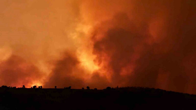 Diyarbakır’ın Çınar ilçesinde 20 Haziran Perşembe günü başlayan yangın, 15 kişinin hayatını kaybetmesine neden oldu.