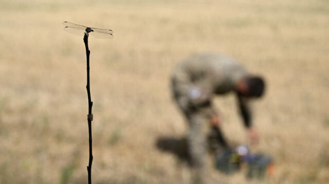 Une libellule est posée sur une branche près d'un militaire ukrainien du groupe tactique Medoyid (Honey Badger) qui prépare un drone à vue subjective (FPV) pour un vol d'entraînement dans un lieu non divulgué, le 23 août 2024.