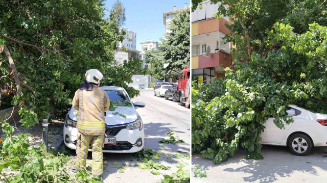 İtfaiye ekipleri aracın üzerine devrilen ağacı elektrikli testereyle keserek kaldırdı.