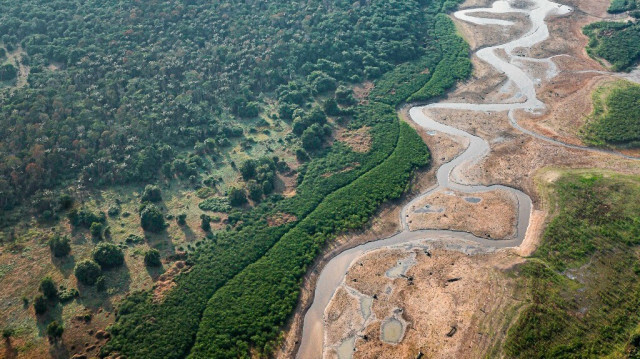 Le fleuve Jaquir à Manaquiri, dans l'État d'Amazonas, au nord du Brésil, le 10 septembre 2024.