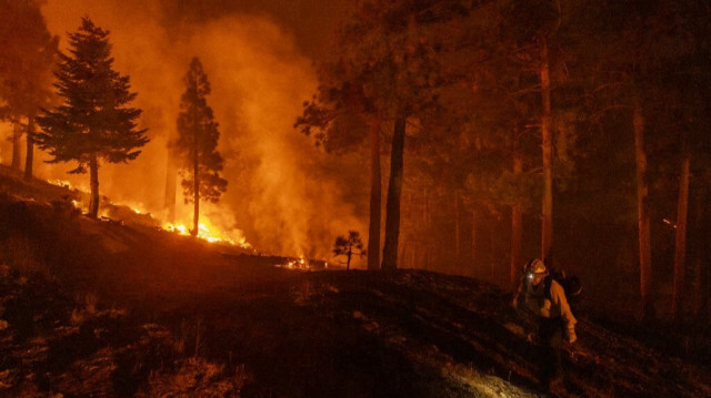 Un pompier d'élite marche près des flammes après avoir creusé des tranchées dans un canyon pour ralentir la progression de l'incendie de Bridge, qui brûle dans les collines de Big Pines, près de Wrightwood, en Californie, le 12 septembre 2024. 