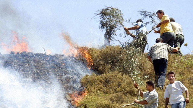 Des fermiers palestiniens tentent d'arrêter un feu allumé par des colons juifs au sud de Naplouse en Palestine occupée.