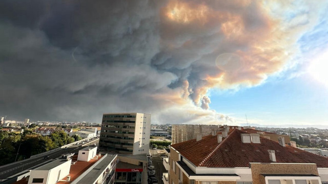 Incendie dans la région d'Aveiro, au Portugal, le 16 septembre 2024.