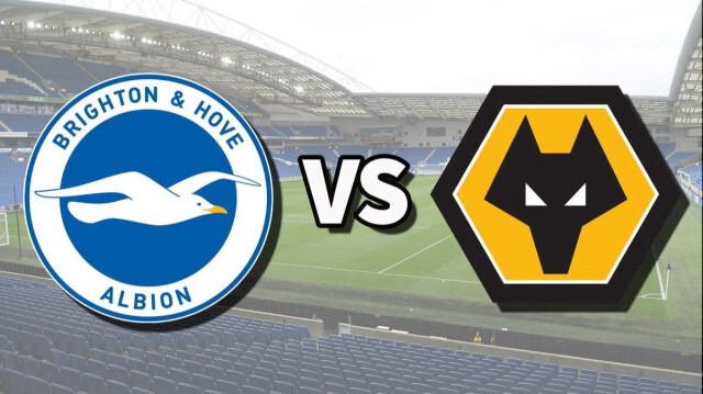 Brighton & Hove Albion - Wolverhampton