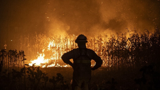 Une silhouette de pompier est visible lors d'un incendie de forêt à Ribeira de Fraguas, Albergaria-a-Velha dans la région d'Aveiro, le 16 septembre 2024.