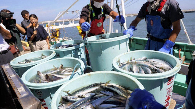 Les travailleurs de la pêche déchargeant des fruits de mer capturés lors de la pêche au chalut en mer dans le port de Matsukawaura dans la ville de Soma, préfecture de Fukushima, environ une semaine après que le pays ait commencé à rejeter des eaux usées traitées provenant de la centrale nucléaire TEPCO Fukushima Daiichi.