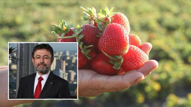 Tarım ve Orman Bakanı İbrahim Yumaklı
