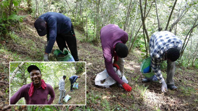 Giresun'da fındık toplayan Afrikalı öğrenciler